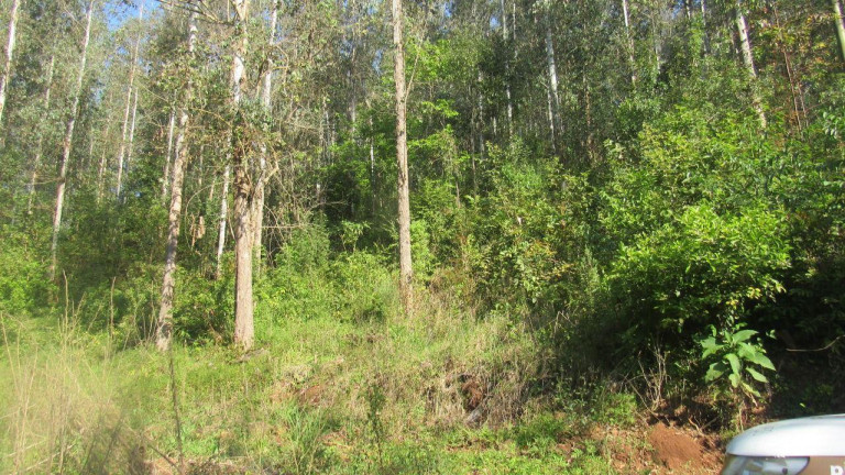 Imagem Terreno à Venda, 40.000 m² em Interior - Arabuta Imagem Terreno à Venda, 40.000 m² em Interior - Arabuta