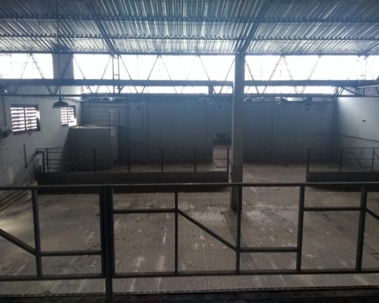 Imagem Imóvel à Venda, 1.400 m² em Jóquei Clube - Juiz De Fora