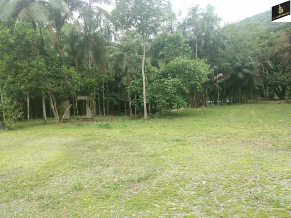 Imagem Imóvel com 3 Quartos à Venda, 49.000 m² em Pirabeiraba (pirabeiraba) - Joinville Imagem Imóvel com 3 Quartos à Venda, 49.000 m² em Pirabeiraba (pirabeiraba) - Joinville