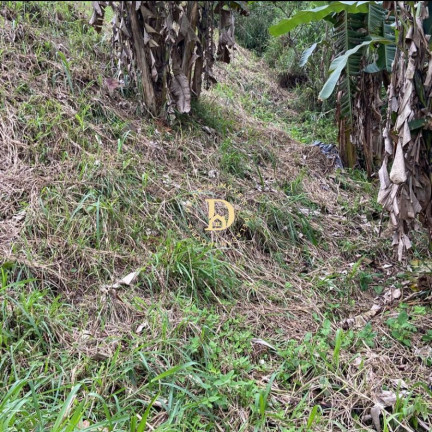 Imagem Terreno à Venda, 150 m² em Pantanal - Paraty Imagem Terreno à Venda, 150 m² em Pantanal - Paraty