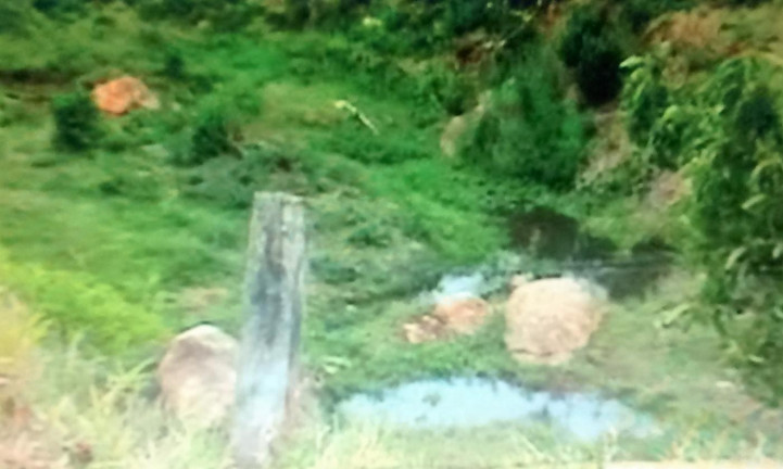 Imagem Fazenda à Venda, 111 m² em Rural - Amparo
