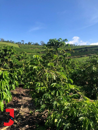 Imagem Fazenda à Venda,  em Vale Taboca - Santa Teresa
