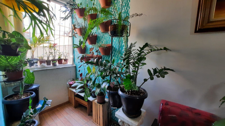 Apartamento com 3 Quartos à Venda, 63 m² em Caiçaras - Belo Horizonte