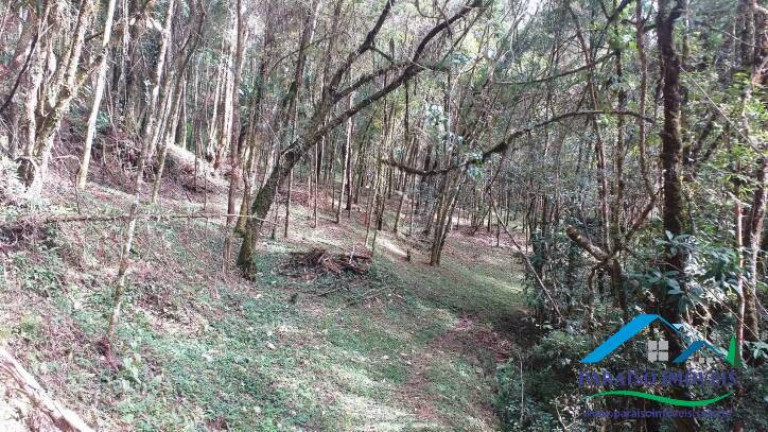 Imagem Terreno à Venda, 10.794 m² em Centro - Gonçalves