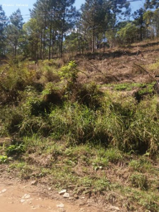 Imagem Terreno à Venda, 6.765 m² em Ouro Fino Paulista - Ribeirão Pires