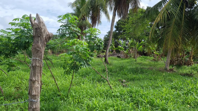 Imagem Terreno à Venda, 12.182 m² em Camará - Aquiraz