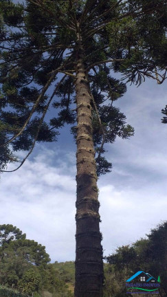 Imagem Terreno à Venda, 113.740 m² em Centro - Gonçalves