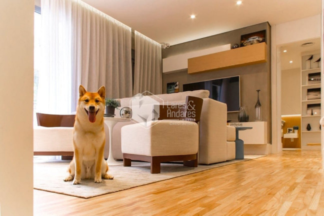 Imagem Apartamento com 3 Quartos à Venda, 65 m² em Vila Mascote - São Paulo Imagem Apartamento com 3 Quartos à Venda, 65 m² em Vila Mascote - São Paulo