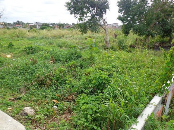 Imagem Terreno à Venda, 4 m²em Abrantes - Camaçari