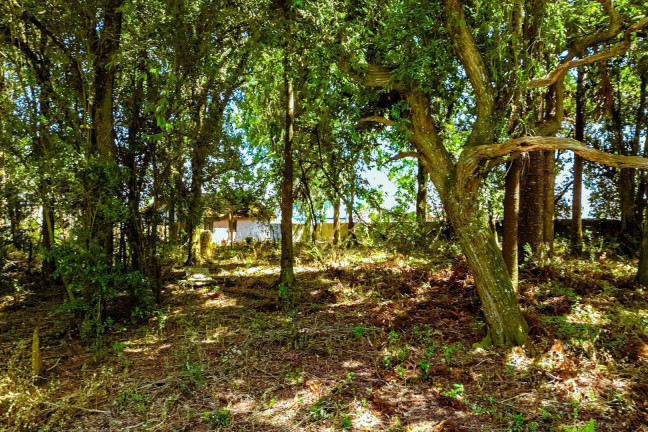 Imagem Terreno à Venda, 2.189 m² em Pinheirinho - Curitiba Imagem Terreno à Venda, 2.189 m² em Pinheirinho - Curitiba
