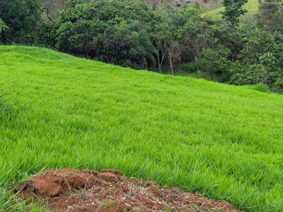 Imagem Terreno à Venda, 14 m² em Morro Grande Da Boa Vista - Bragança Paulista Imagem Terreno à Venda, 14 m² em Morro Grande Da Boa Vista - Bragança Paulista