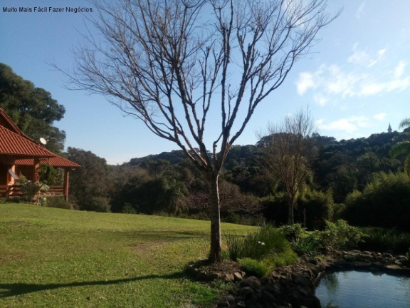 Imagem Casa com 3 Quartos à Venda, 296 m² em Vale Verde - Nova Petrópolis Imagem Casa com 3 Quartos à Venda, 296 m² em Vale Verde - Nova Petrópolis