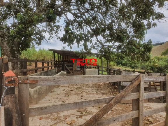 Imagem Imóvel com 2 Quartos à Venda, 190 m² em Zona Rural De São Lourenço - São Lourenço Imagem Imóvel com 2 Quartos à Venda, 190 m² em Zona Rural De São Lourenço - São Lourenço
