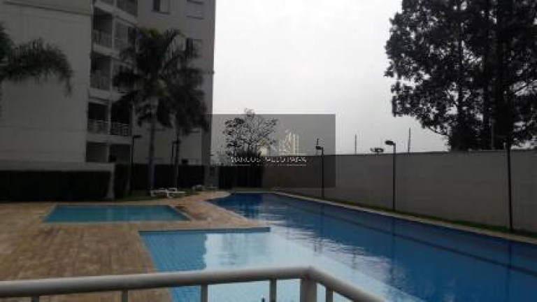 Imagem Apartamento com 2 Quartos à Venda, 50 m² em Vila Endres - Guarulhos Imagem Apartamento com 2 Quartos à Venda, 50 m² em Vila Endres - Guarulhos
