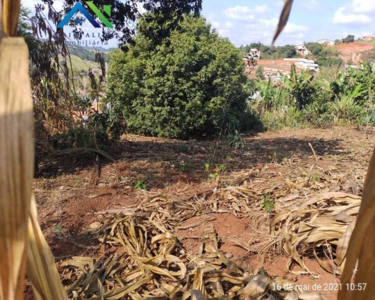 Imagem Terreno à Venda, 250 m² em Nova Trieste - Jarinu Imagem Terreno à Venda, 250 m² em Nova Trieste - Jarinu