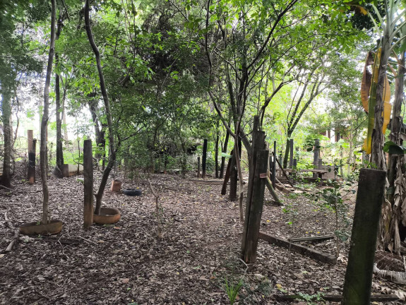 Imagem Chácara com 1 Quarto à Venda, 6 m² em Jundiaquara - Araçoiaba Da Serra Imagem Chácara com 1 Quarto à Venda, 6 m² em Jundiaquara - Araçoiaba Da Serra
