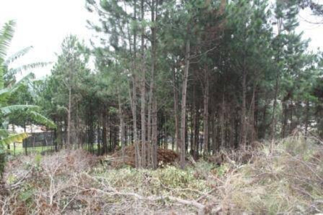 Imagem Terreno à Venda, 22 m² em Vargem Pequena - Florianópolis Imagem Terreno à Venda, 22 m² em Vargem Pequena - Florianópolis