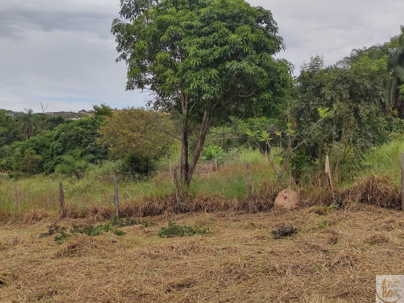Imagem Terreno à Venda, 7.700 m² em Fazendinha Do Barão - Santa Luzia Imagem Terreno à Venda, 7.700 m² em Fazendinha Do Barão - Santa Luzia
