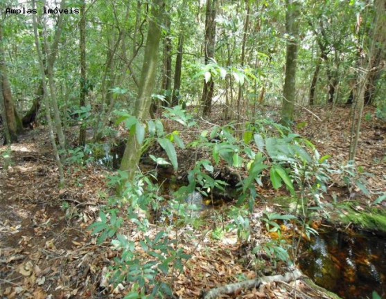 Imagem Fazenda à Venda, 164 m² em Monjolos área Rural - Monjolos