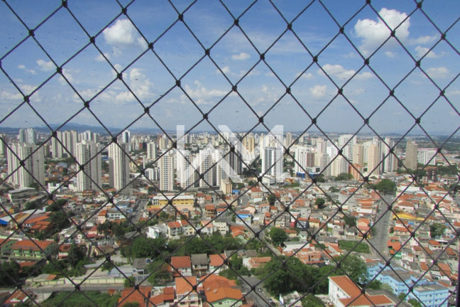 Imagem Apartamento com 3 Quartos à Venda, 82 m² em Gopoúva - Guarulhos Imagem Apartamento com 3 Quartos à Venda, 82 m² em Gopoúva - Guarulhos