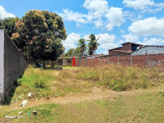 Imagem Terreno à Venda, 530 m² em São José - Macaíba