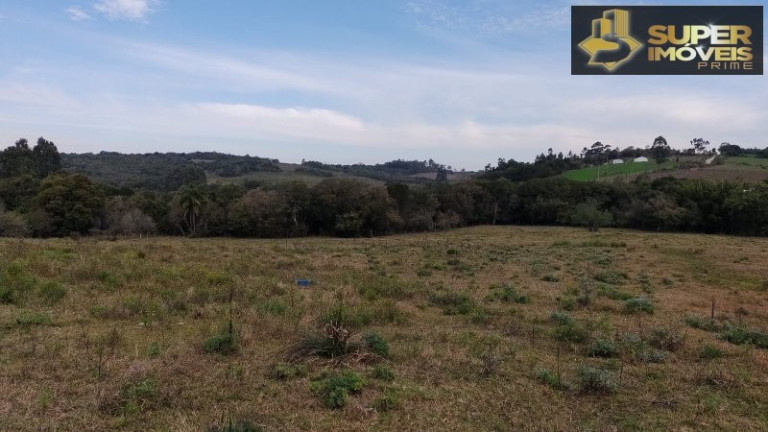 Imagem Imóvel com 3 Quartos à Venda, 85.000 m² em Zona Rural - Morro Redondo