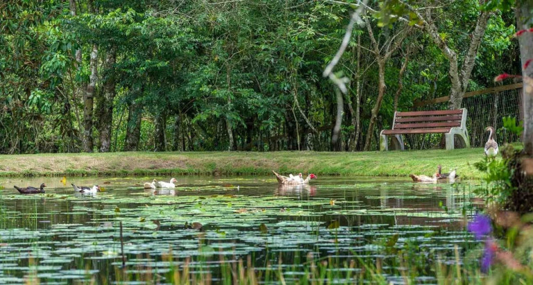 Imagem Terreno à Venda, 1.197 m² em Rio Do Meio - Camboriú