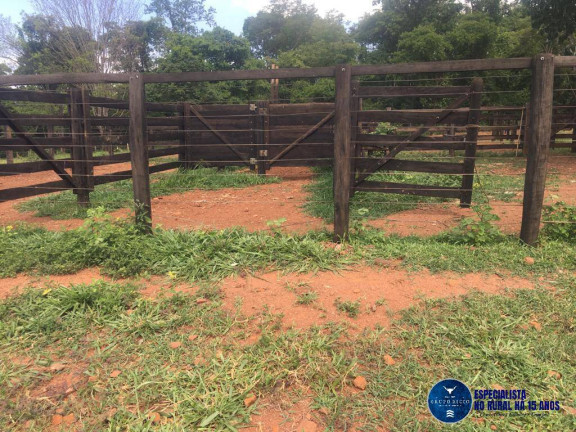 Imagem Chácara à Venda, 24 m² em Zona Rural - Petrolina De Goiás Imagem Chácara à Venda, 24 m² em Zona Rural - Petrolina De Goiás