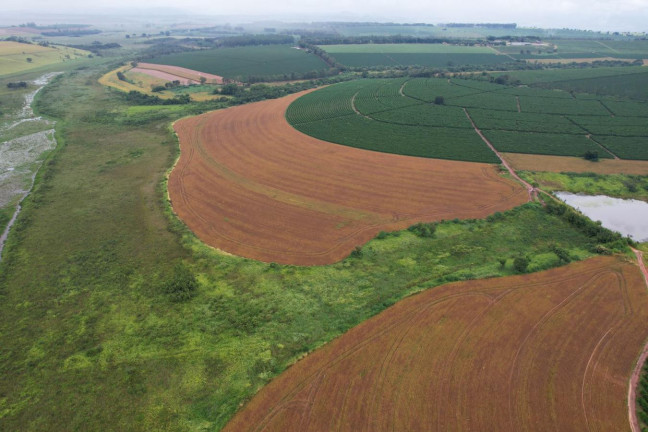 Imagem Fazenda à Venda, 48 m² em Zona Rural - Piumhi Imagem Fazenda à Venda, 48 m² em Zona Rural - Piumhi