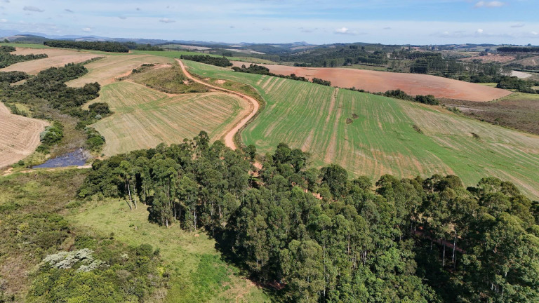 Imagem Fazenda à Venda, 700 m² em São Vicente De Minas Imagem Fazenda à Venda, 700 m² em São Vicente De Minas