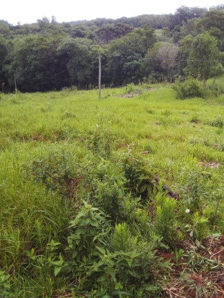 Imagem Chácara à Venda, em Lagoa Dos Barros - Santo Antônio Da Patrulha Imagem Chácara à Venda, em Lagoa Dos Barros - Santo Antônio Da Patrulha