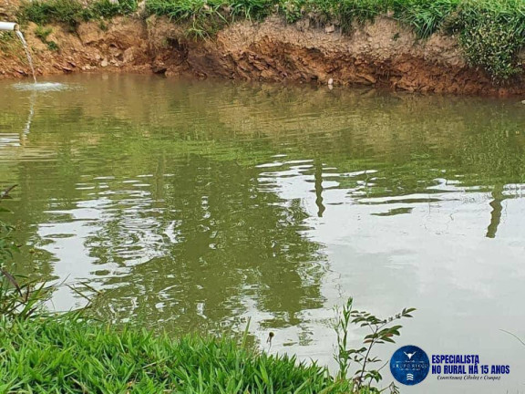 Imagem Fazenda à Venda, 54 m² em Zona Rural - Cocalzinho De Goiás Imagem Fazenda à Venda, 54 m² em Zona Rural - Cocalzinho De Goiás