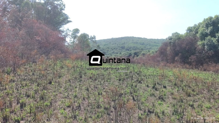Imagem Imóvel com 3 Quartos à Venda, 2.600.000 m² em 1º Distrito - Canguçu Imagem Imóvel com 3 Quartos à Venda, 2.600.000 m² em 1º Distrito - Canguçu