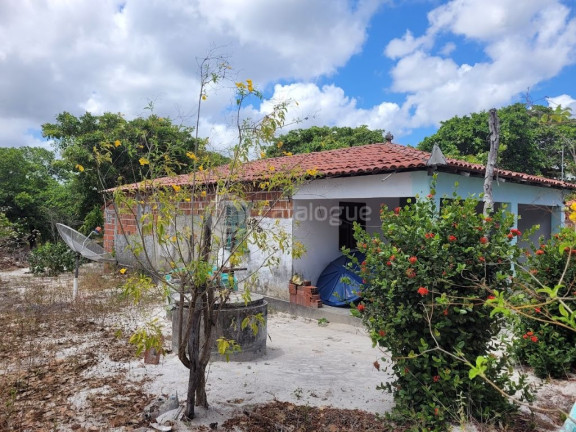 Imagem Fazenda à Venda, 60.000 m² em Córrego Do Moreira - Beberibe Imagem Fazenda à Venda, 60.000 m² em Córrego Do Moreira - Beberibe