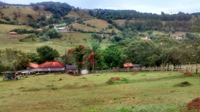 Imagem Imóvel com 3 Quartos à Venda, 50 m² em Paraisópolis - Paraisópolis Imagem Imóvel com 3 Quartos à Venda, 50 m² em Paraisópolis - Paraisópolis