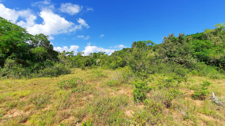 Imagem Fazenda à Venda, 900.000 m² em Centro - Viamão Imagem Fazenda à Venda, 900.000 m² em Centro - Viamão