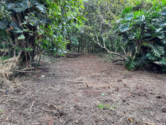 Imagem Terreno à Venda, 2.437 m² em Chácara Eliana - Cotia