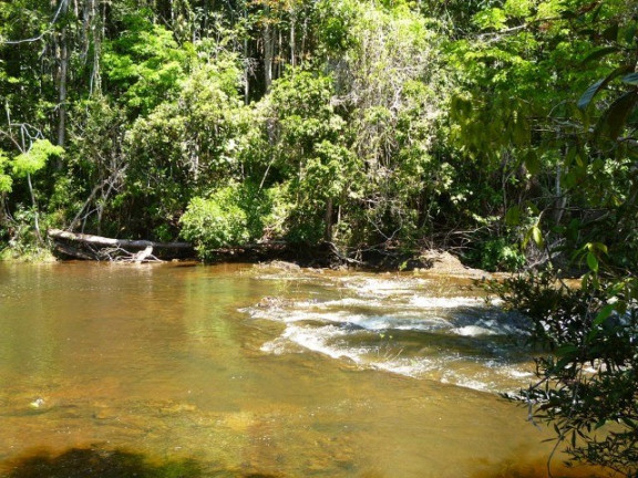 Imagem Imóvel à Venda, em Aderno - Ilhéus Imagem Imóvel à Venda, em Aderno - Ilhéus