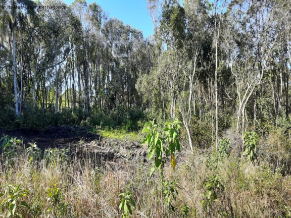 Imagem Terreno à Venda, 370 m² em Linha Imperial - Nova Petrópolis Imagem Terreno à Venda, 370 m² em Linha Imperial - Nova Petrópolis