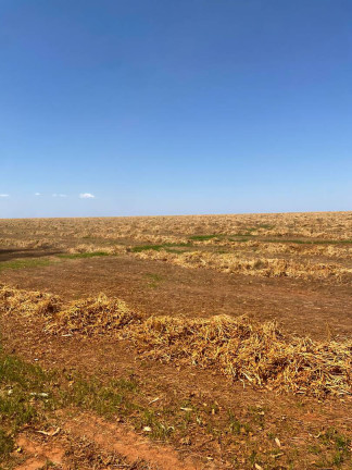 Imagem Fazenda à Venda, 8.000 m² em Cuiabá Imagem Fazenda à Venda, 8.000 m² em Cuiabá