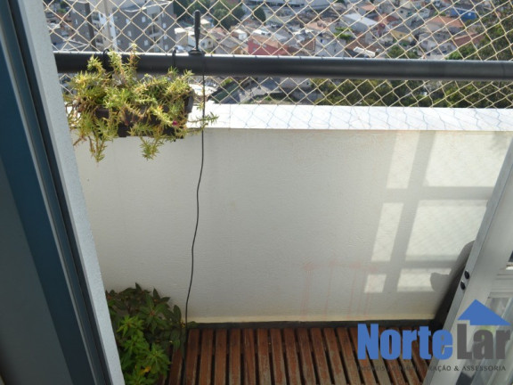 Imagem Apartamento com 3 Quartos à Venda, 73 m² em Vila Amélia - São Paulo Imagem Apartamento com 3 Quartos à Venda, 73 m² em Vila Amélia - São Paulo