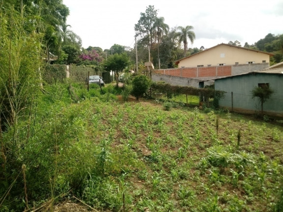 Imagem Terreno à Venda, 317 m² em Jardim Tercasa - Mairiporã