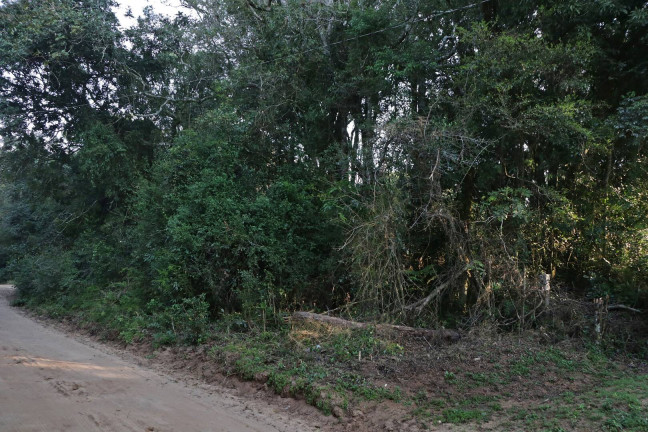 Imagem Terreno à Venda, 1.350 m² em águas Claras - Viamão
