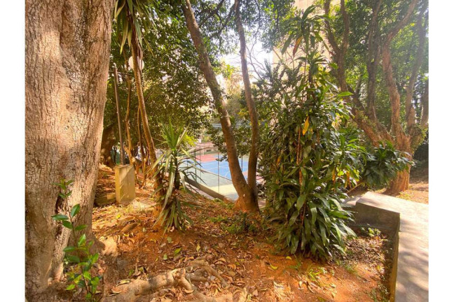 Imagem Apartamento com 3 Quartos à Venda, 61 m² em Vila Das Mercês - São Paulo Imagem Apartamento com 3 Quartos à Venda, 61 m² em Vila Das Mercês - São Paulo