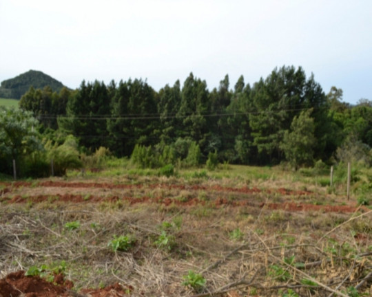 Imagem Imóvel à Venda, 429 m² em Pinhal Alto - Nova Petrópolis Imagem Imóvel à Venda, 429 m² em Pinhal Alto - Nova Petrópolis
