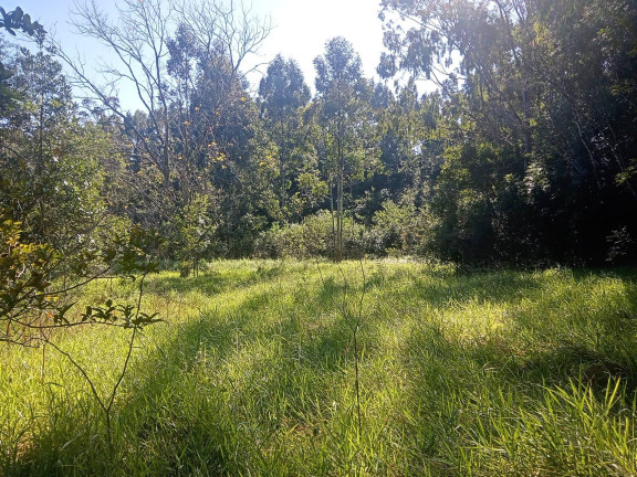 Imagem Chácara à Venda, 29.000 m² em Pimenta - Viamão