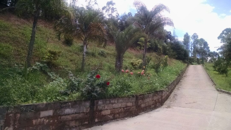 Imagem Galpão à Venda, 2 m² em Terra Preta - Mairiporã Imagem Galpão à Venda, 2 m² em Terra Preta - Mairiporã