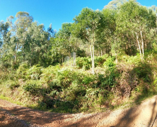 Imagem Terreno à Venda, 10.000 m² em São Cristovão - Flores Da Cunha Imagem Terreno à Venda, 10.000 m² em São Cristovão - Flores Da Cunha