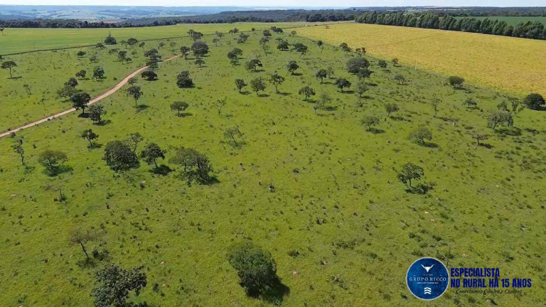 Imagem Chácara à Venda, 18 m² em Zona Rural - Bela Vista De Goiás Imagem Chácara à Venda, 18 m² em Zona Rural - Bela Vista De Goiás