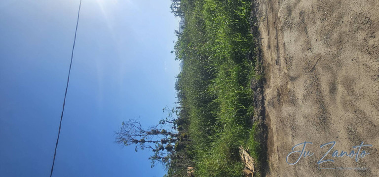 Imagem Terreno à Venda, 450 m² em Balneário Praia Grande - Matinhos Imagem Terreno à Venda, 450 m² em Balneário Praia Grande - Matinhos